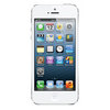 Apple iPhone 5 16Gb white - Осинники