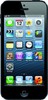 Apple iPhone 5 64GB - Осинники